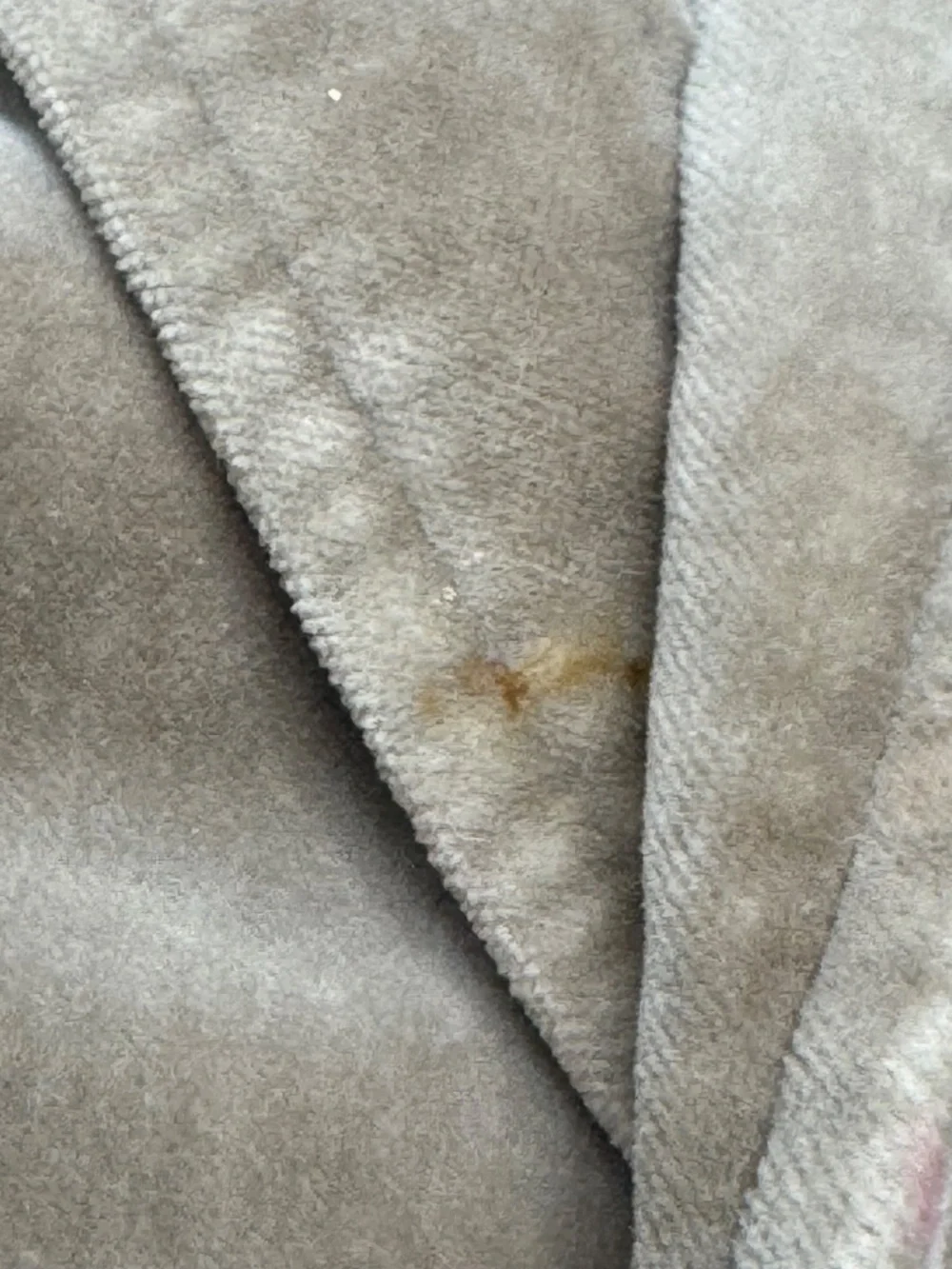 Juicy Couture Beige Velour Blazer Jacket